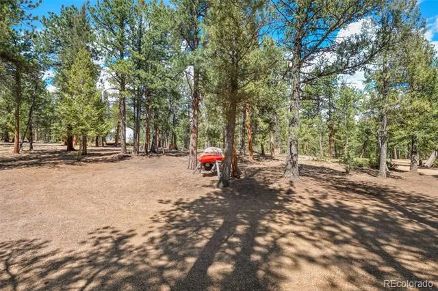 237 Road B Pine, CO 80470