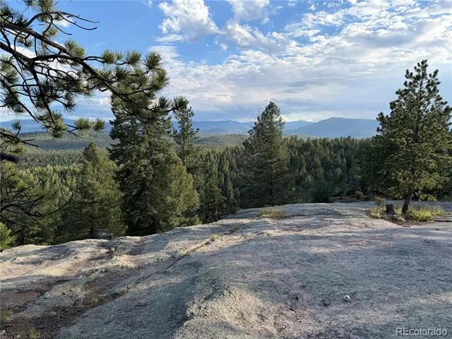 237 Road B Pine, CO 80470