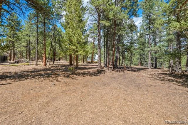 237 Road B Pine, CO 80470