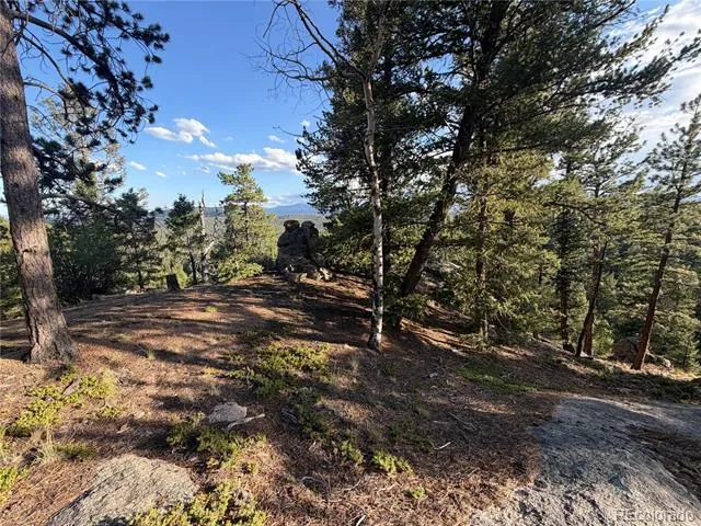 237 Road B Pine, CO 80470