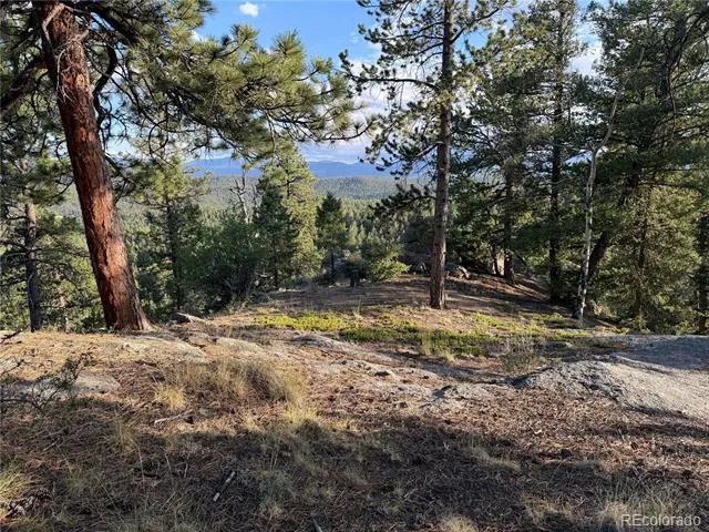 237 Road B Pine, CO 80470