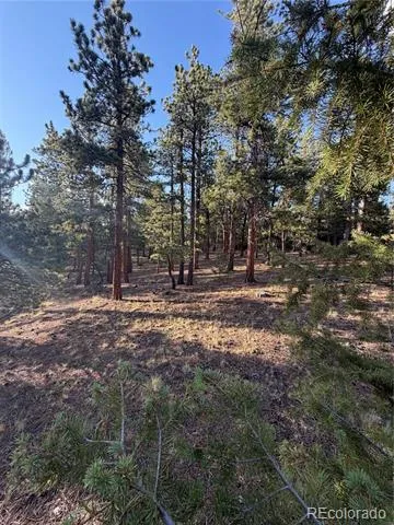 237 Road B Pine, CO 80470