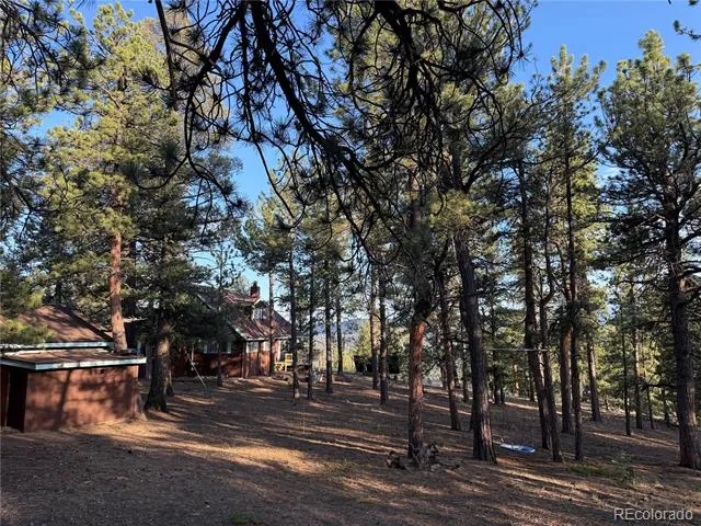 237 Road B Pine, CO 80470