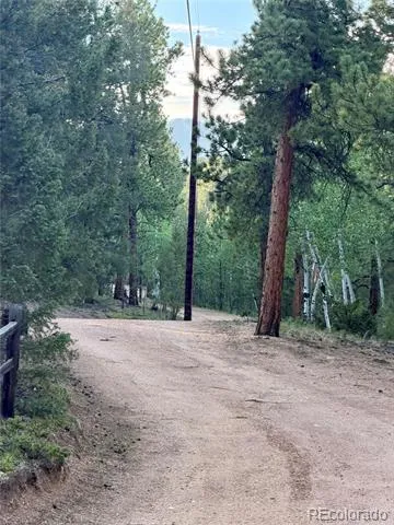 237 Road B Pine, CO 80470