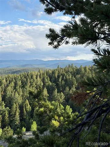 237 Road B Pine, CO 80470