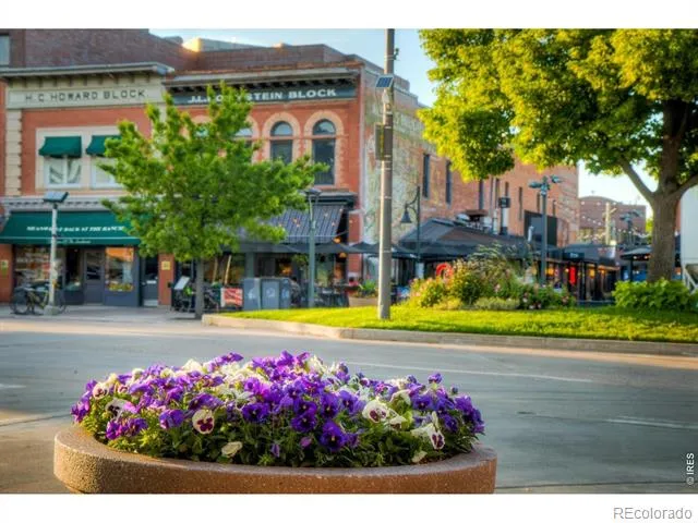 228 E Oak Street Fort Collins, CO 80524
