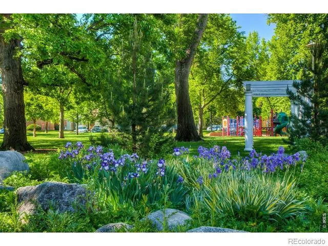 228 E Oak Street Fort Collins, CO 80524