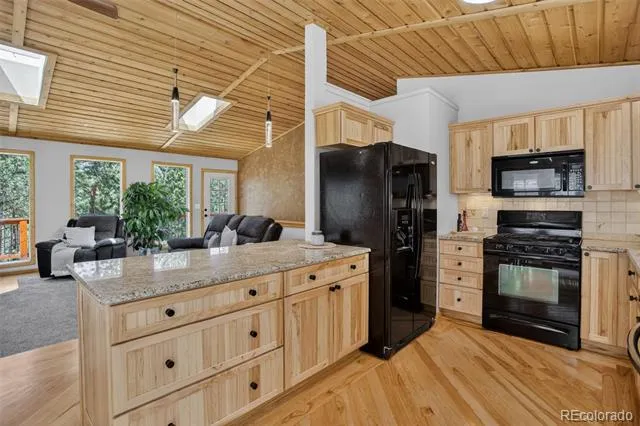 858 Forest Drive Bailey, CO 80421