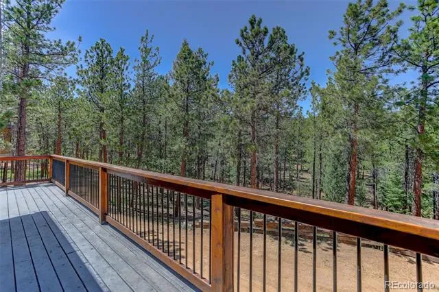 858 Forest Drive Bailey, CO 80421