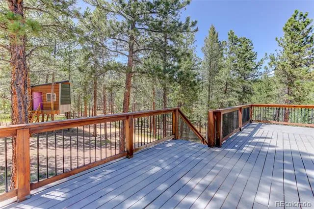 858 Forest Drive Bailey, CO 80421