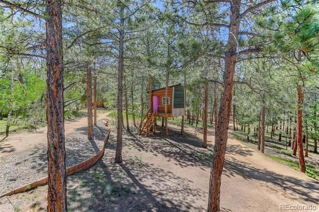 858 Forest Drive Bailey, CO 80421