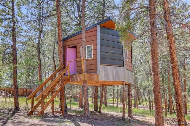 858 Forest Drive Bailey, CO 80421