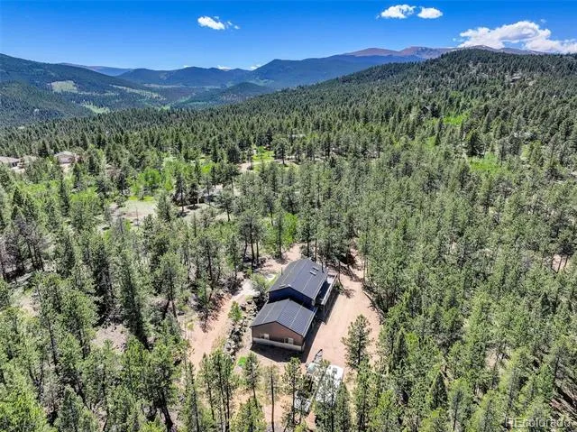858 Forest Drive Bailey, CO 80421