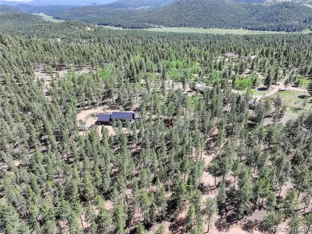 858 Forest Drive Bailey, CO 80421