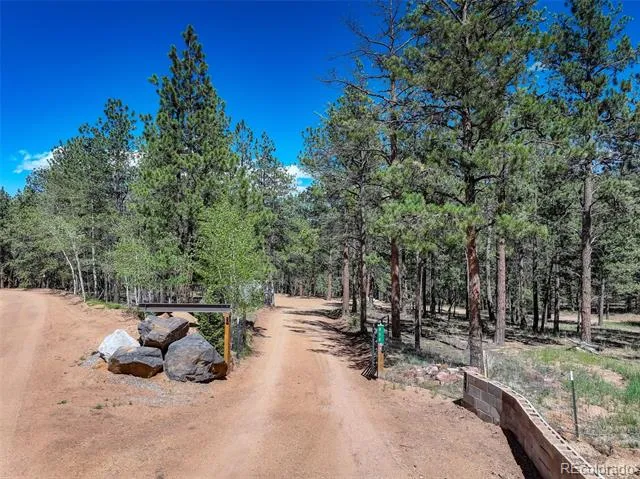 858 Forest Drive Bailey, CO 80421