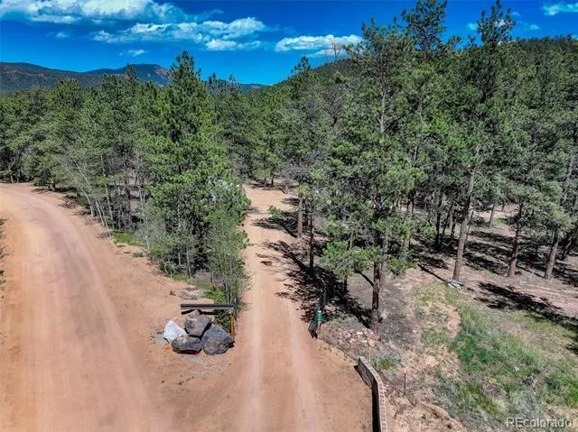 858 Forest Drive Bailey, CO 80421