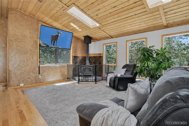 858 Forest Drive Bailey, CO 80421