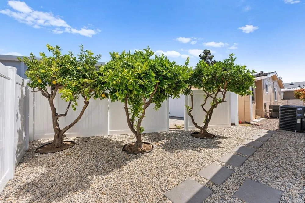 3473 Don Ortega Drive Carlsbad, CA 92010