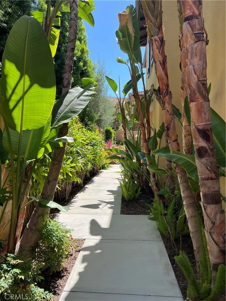 28258 Camino Del Rio San Juan Capistrano, CA 92675