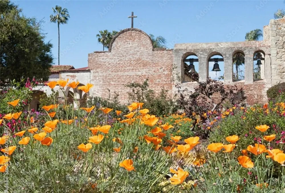 28258 Camino Del Rio San Juan Capistrano, CA 92675