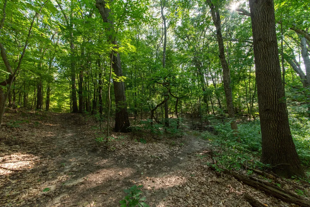 3788 Siebers Lane NE Plainfield Charter Township, MI 49525