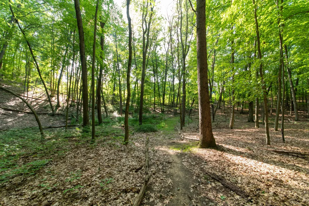 3788 Siebers Lane NE Plainfield Charter Township, MI 49525