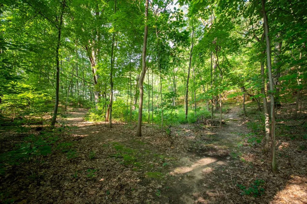 3788 Siebers Lane NE Plainfield Charter Township, MI 49525