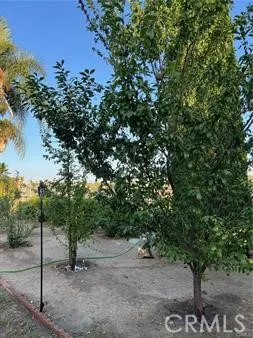 1347 Via Cibola Oceanside, CA 92057