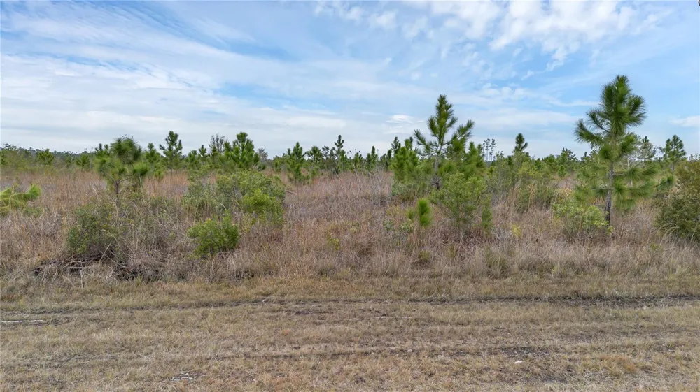 501 PORTULACA DRIVE Indian Lake Estates, FL 33855