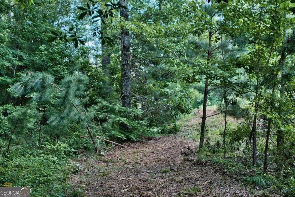 1190 Waterstone DR Madison, GA 30650