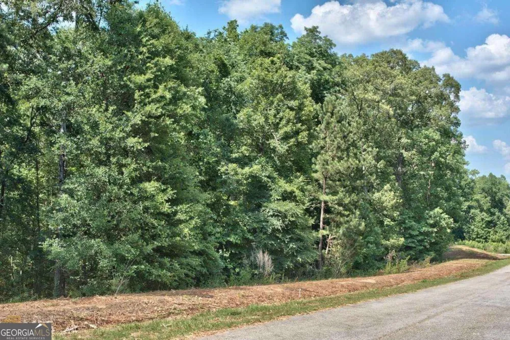1190 Waterstone DR Madison, GA 30650