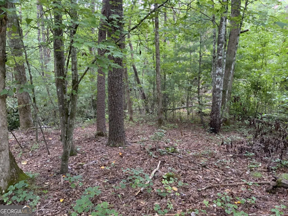 0 Skylake and Wheeler Ridge RD Sautee Nacoochee, GA 30571