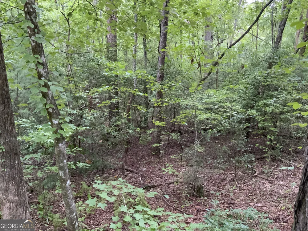0 Skylake and Wheeler Ridge RD Sautee Nacoochee, GA 30571