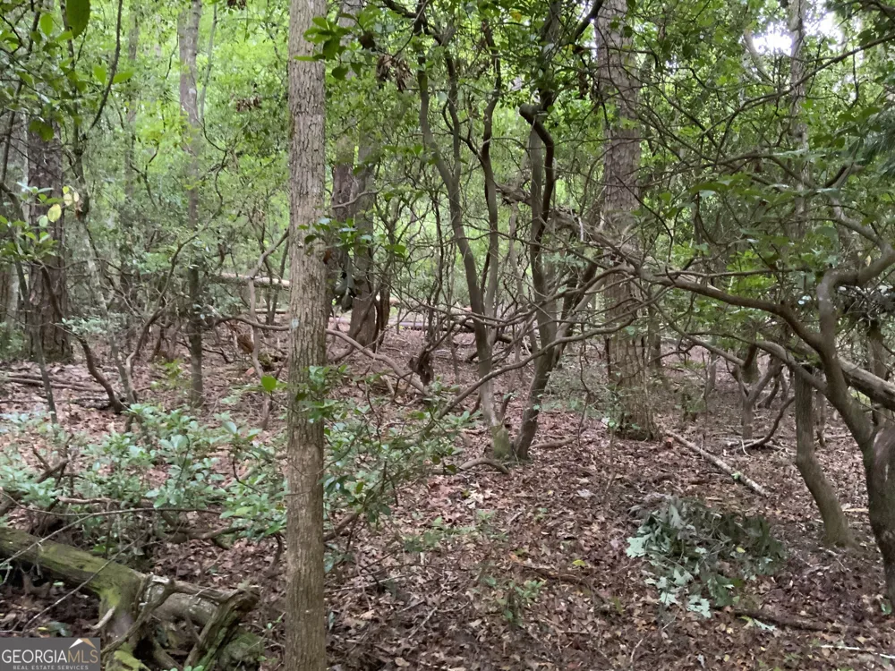 0 Skylake and Wheeler Ridge RD Sautee Nacoochee, GA 30571