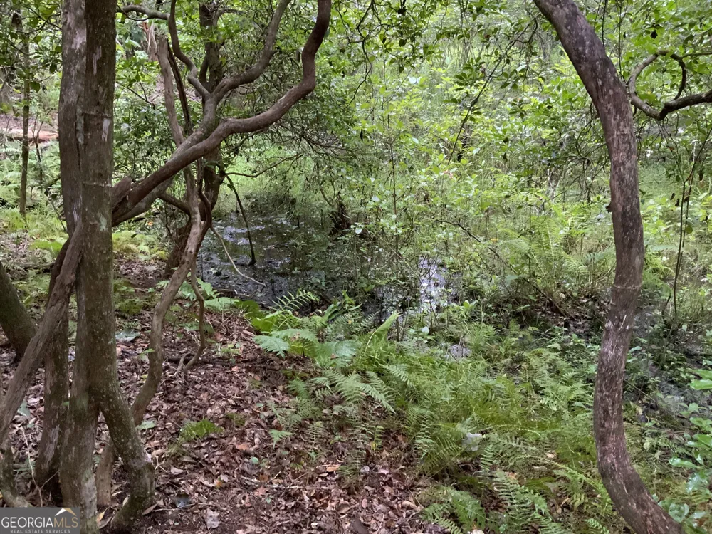 0 Skylake and Wheeler Ridge RD Sautee Nacoochee, GA 30571