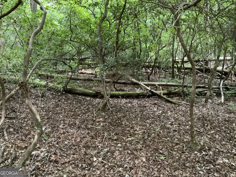 0 Skylake and Wheeler Ridge RD Sautee Nacoochee, GA 30571