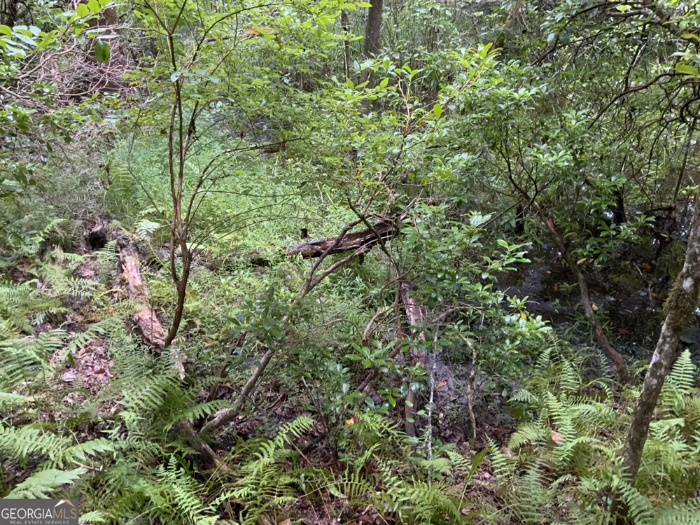 0 Skylake and Wheeler Ridge RD Sautee Nacoochee, GA 30571