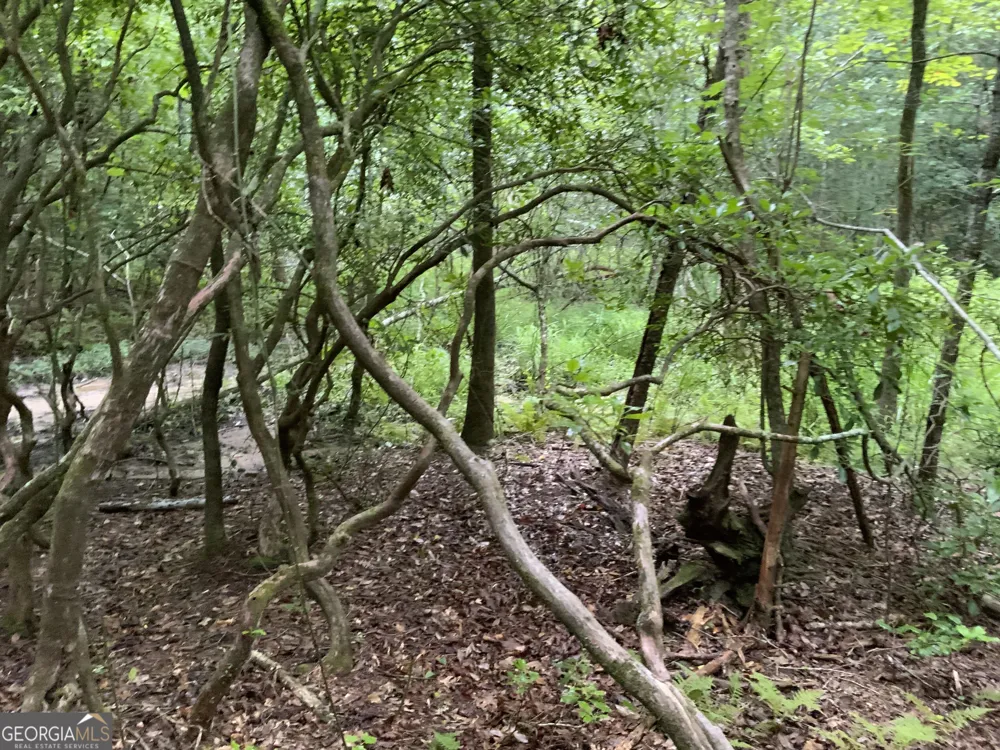 0 Skylake and Wheeler Ridge RD Sautee Nacoochee, GA 30571