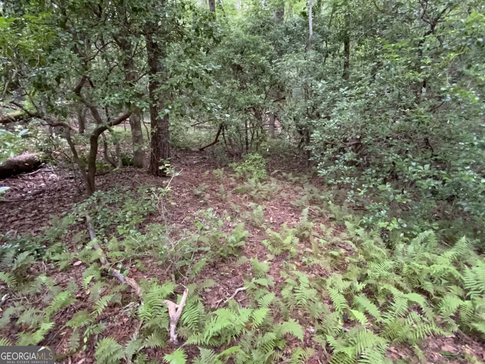 0 Skylake and Wheeler Ridge RD Sautee Nacoochee, GA 30571