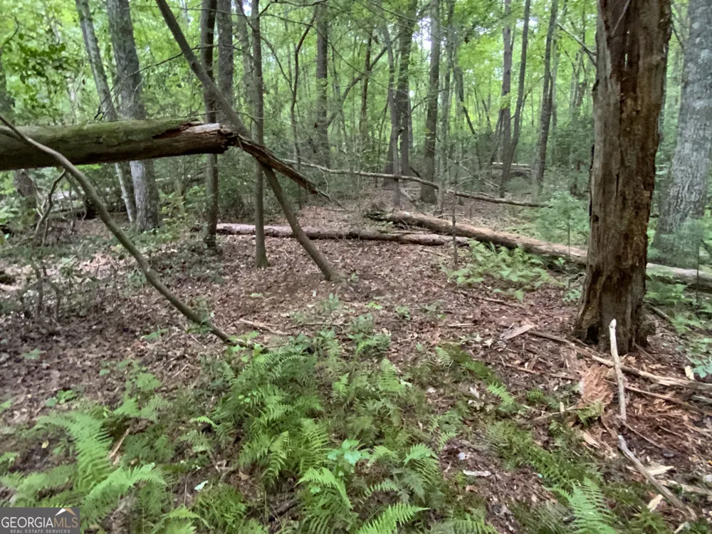 0 Skylake and Wheeler Ridge RD Sautee Nacoochee, GA 30571