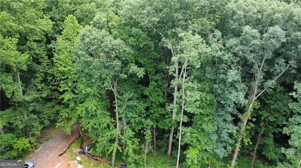 4230 Belvedere DR Gainesville, GA 30506