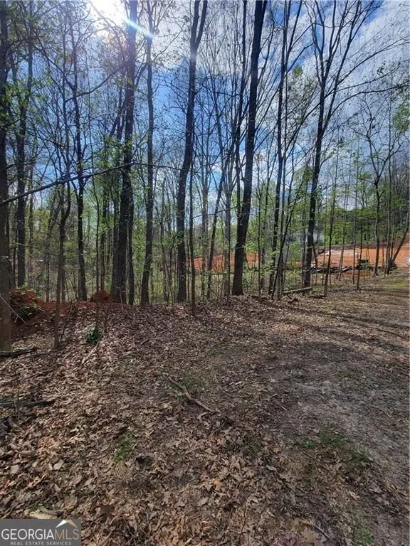 4230 Belvedere DR Gainesville, GA 30506