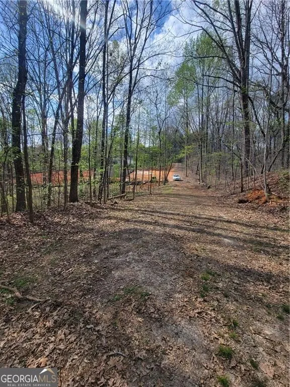 4230 Belvedere DR Gainesville, GA 30506