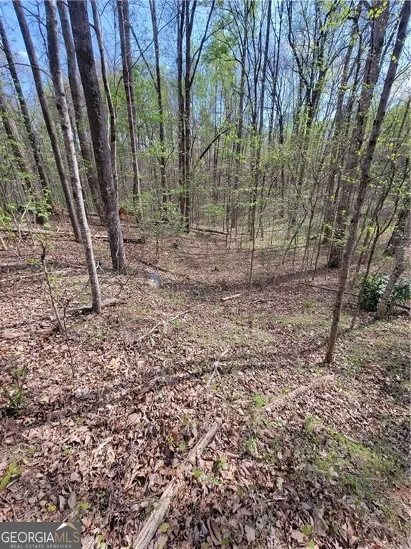 4230 Belvedere DR Gainesville, GA 30506
