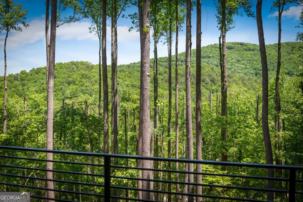 172 Grand Oaks TRL Morganton, GA 30560