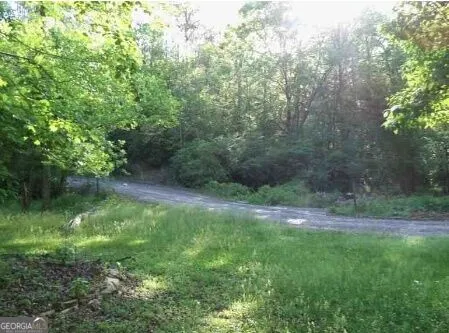 953 Nugget LN Ellijay, GA 30540