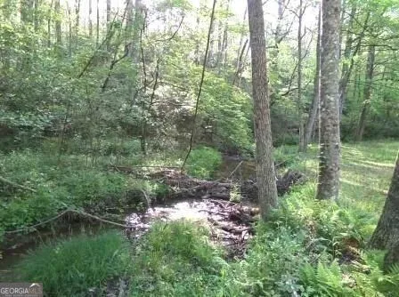 953 Nugget LN Ellijay, GA 30540