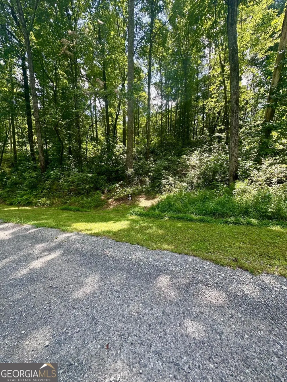 LT 43 Hilton DR Ellijay, GA 30540