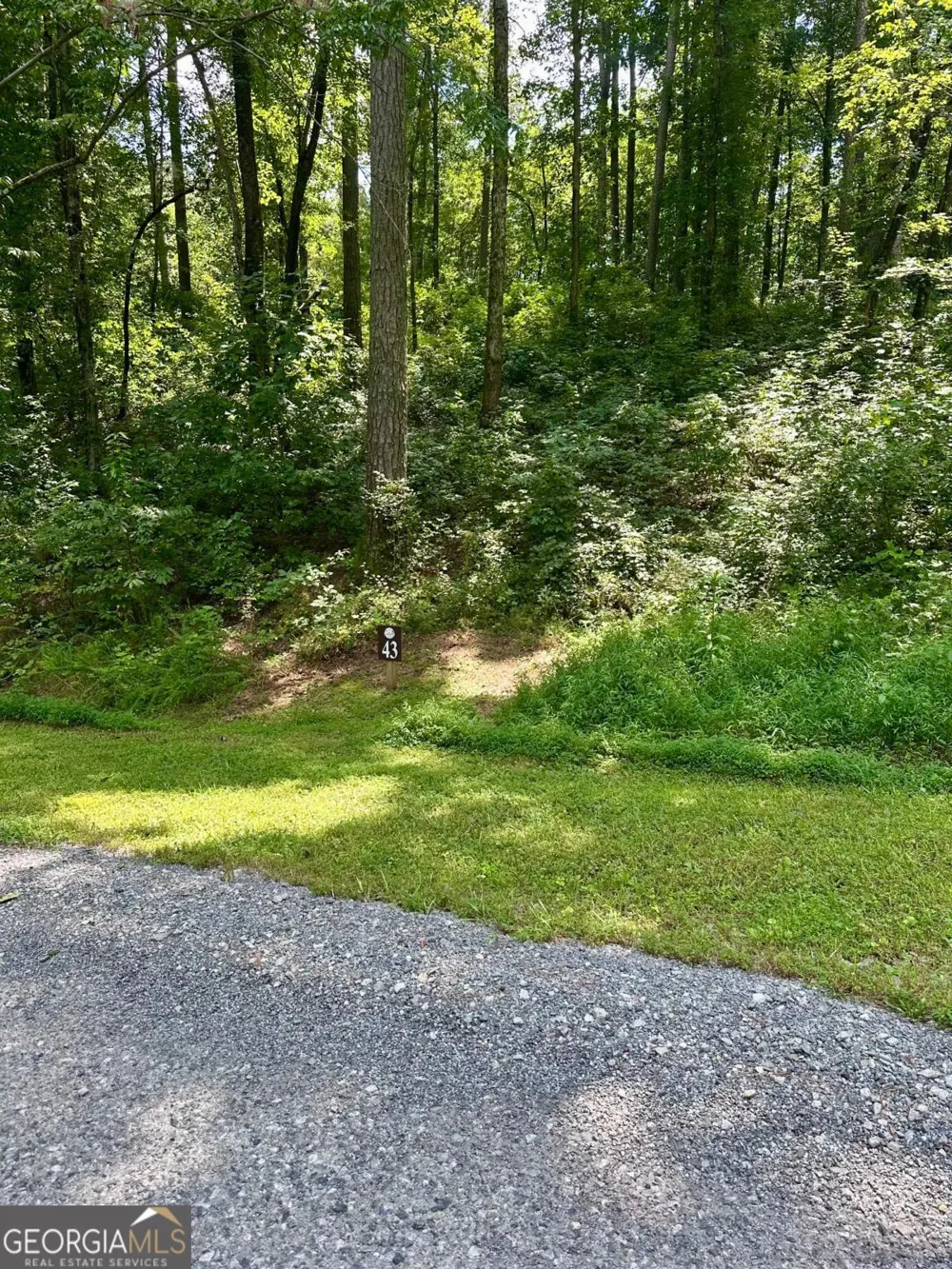 LT 43 Hilton DR Ellijay, GA 30540