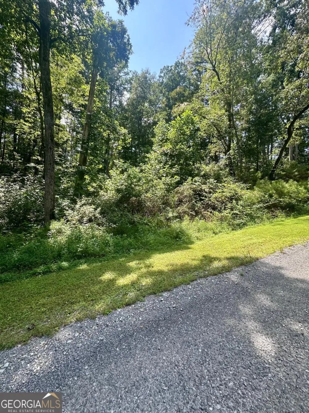 LT 43 Hilton DR Ellijay, GA 30540